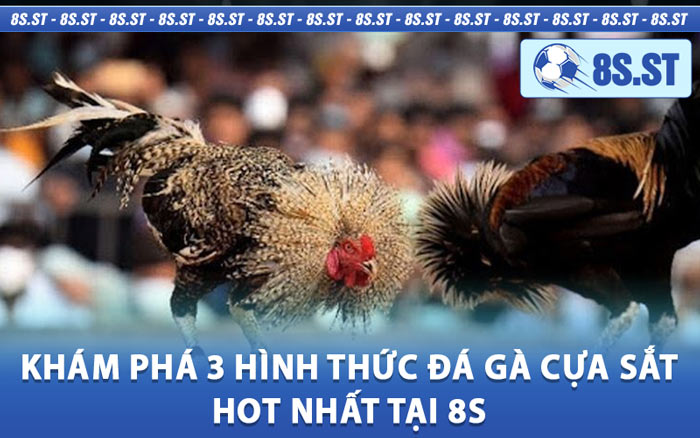 Khám Phá 3 Hình Thức Đá Gà Cựa Sắt Hot Nhất Tại 8s